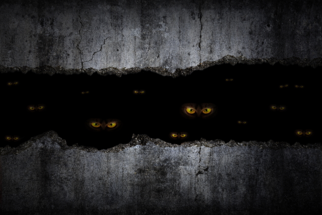 Halloween Digital Projection Decorations