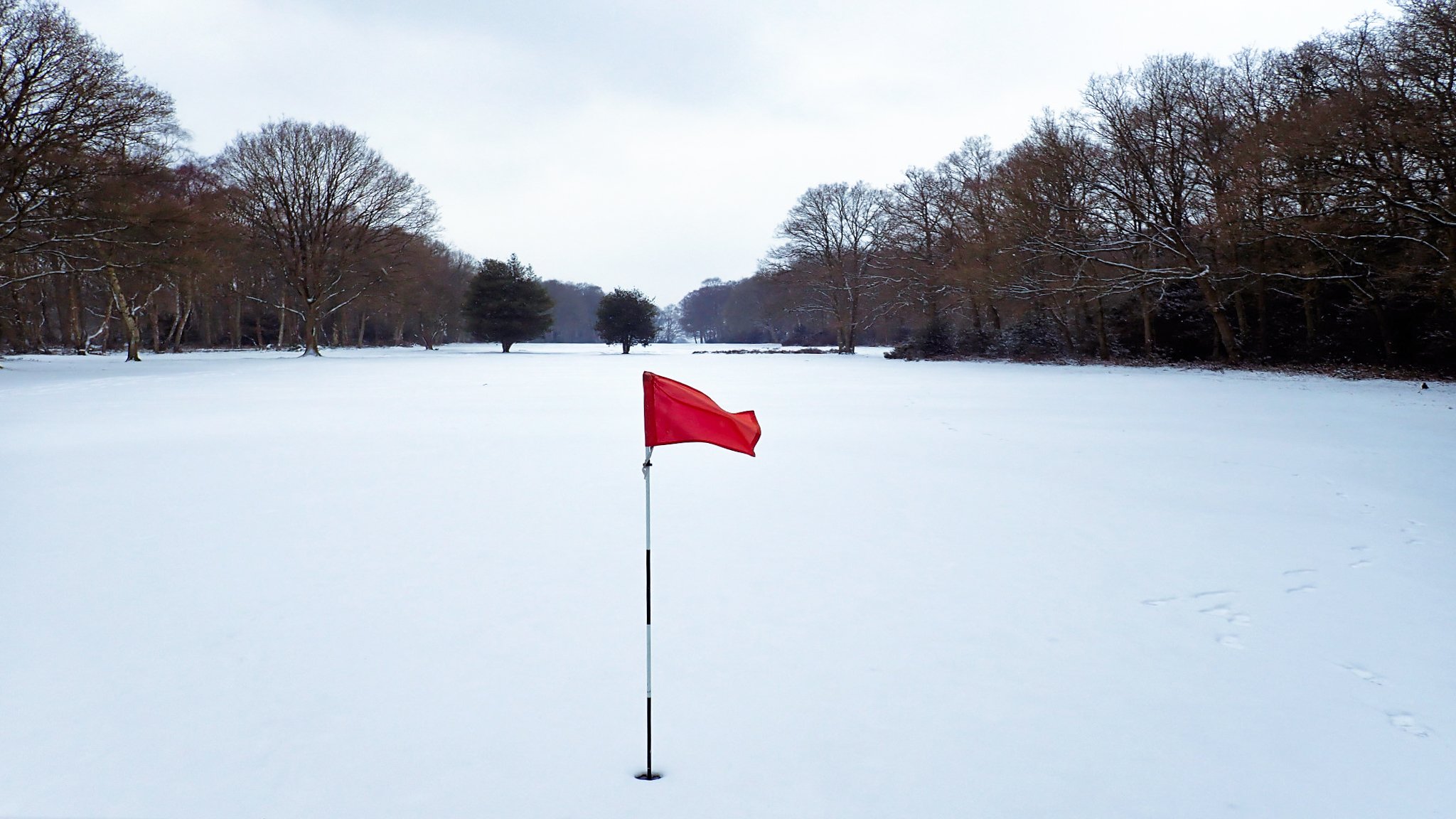 Winter on a golf course