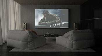 White or Gray Projector Screen Surface?