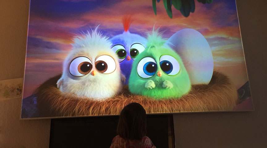 Home theater projection screen